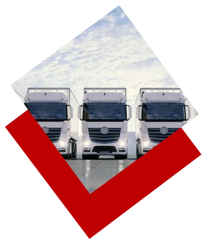 Fast delivery